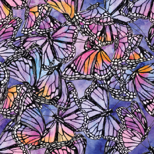Butterfly Galaxy