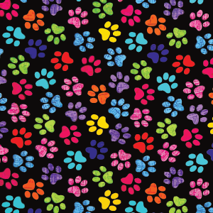 Pawsitive Vibes