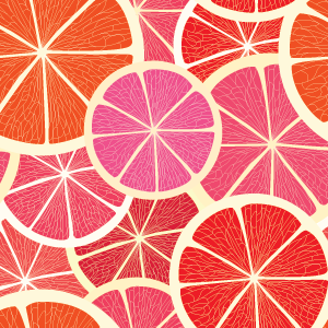 Sunshine Slices