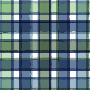 X258-Dad_Plaid.png